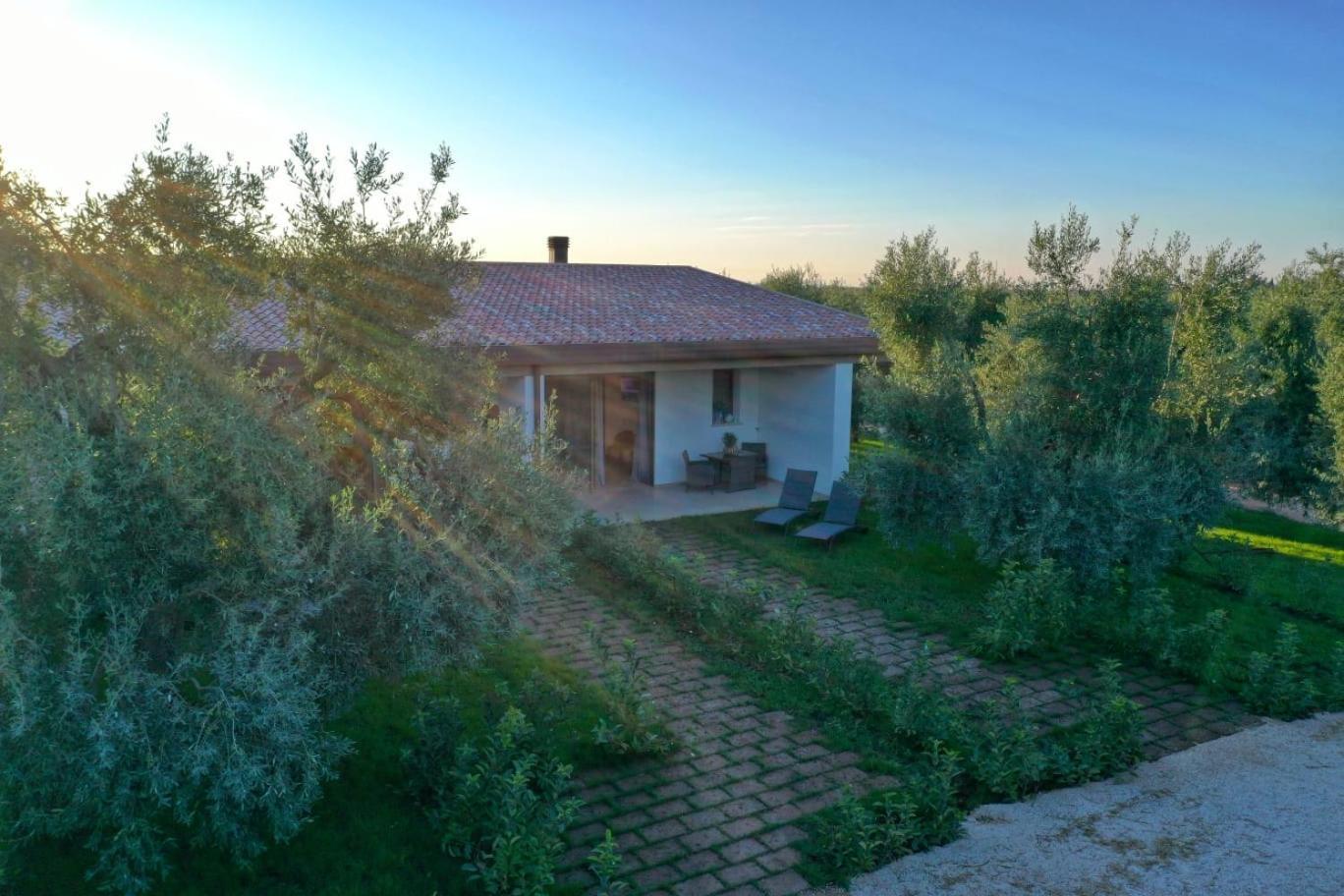 I Secolari Bed and Breakfast Sannicandro di Bari Exteriör bild